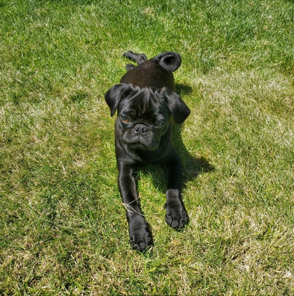 Meet your Posher, Sarah - Picture 2 of 8